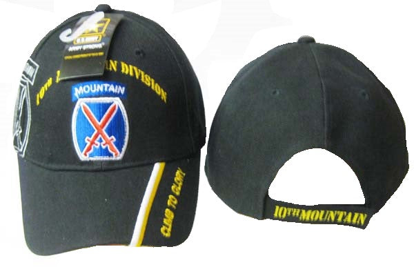 United States Army Hat - 10th Mountain Division