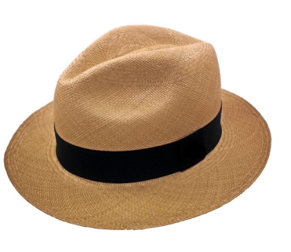 Panama Straw Hat