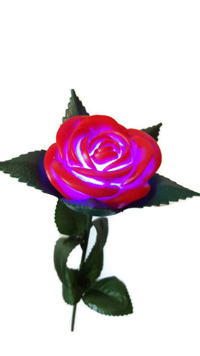 Light Up Rose Assorted- Multi Color Sold by the Dozen