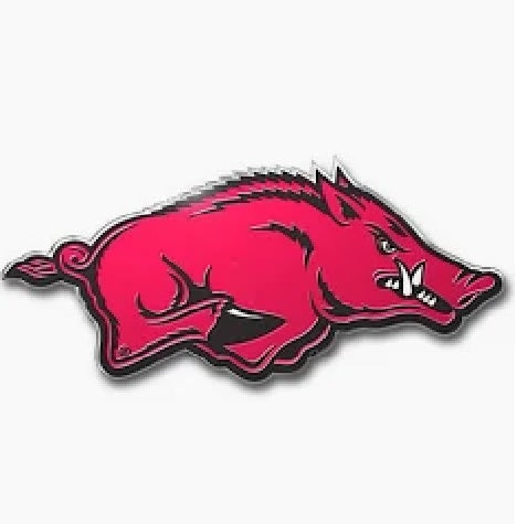 NCAA ARKANSAS RAZORBACKS AUTO EMBLEM