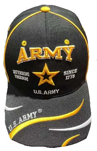 ARMY HAT  DEFEND FREEDOM