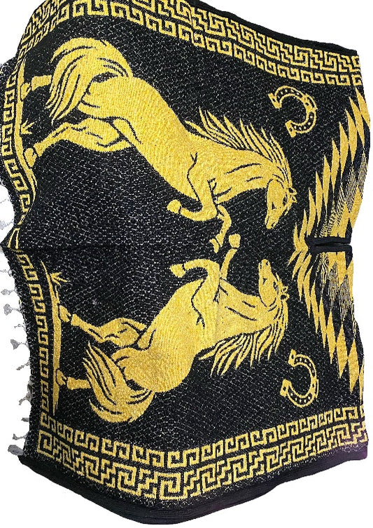 Mexico-Gaban-HORSE